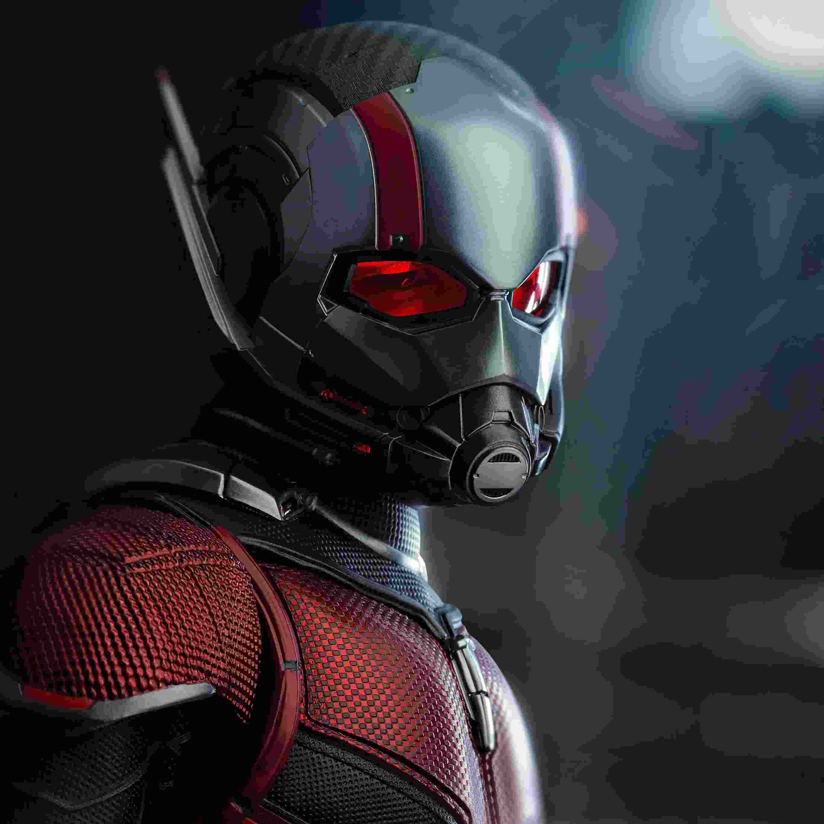 antman dans son costume